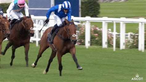 Horse Racing GIFs .